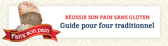 Guide pour four traditionnel