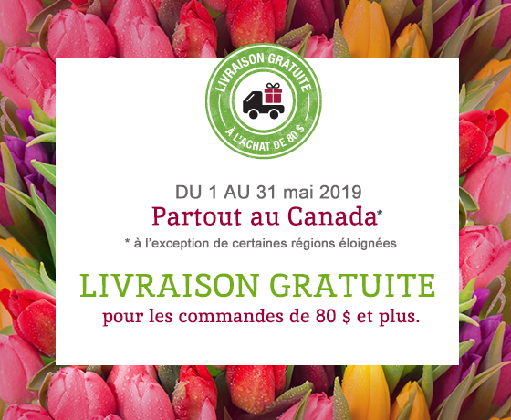 Promotion de livraison