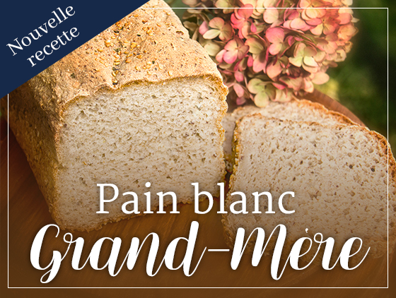 Pain blanc sans gluten «Grand-Mère»