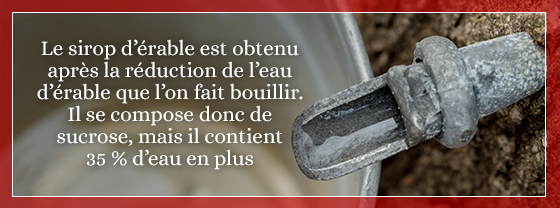 Cuisine l'Angélique