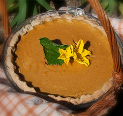 Recette Tarte à la citrouille sans gluten