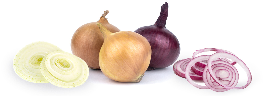Variétés d'oignons