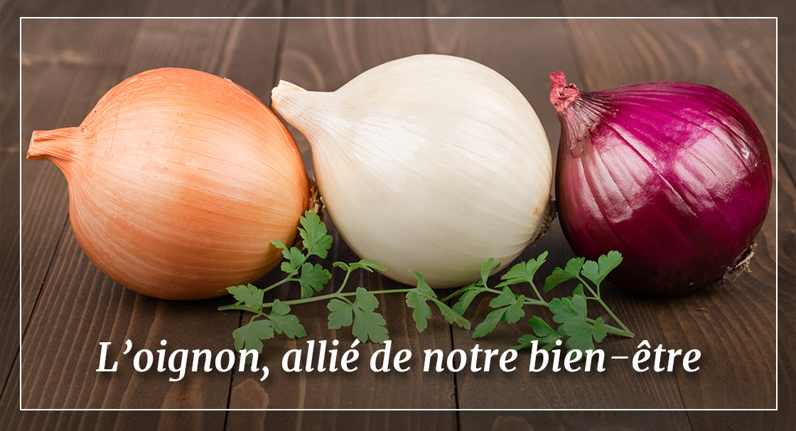 L'oignon, allié de notre bien-être