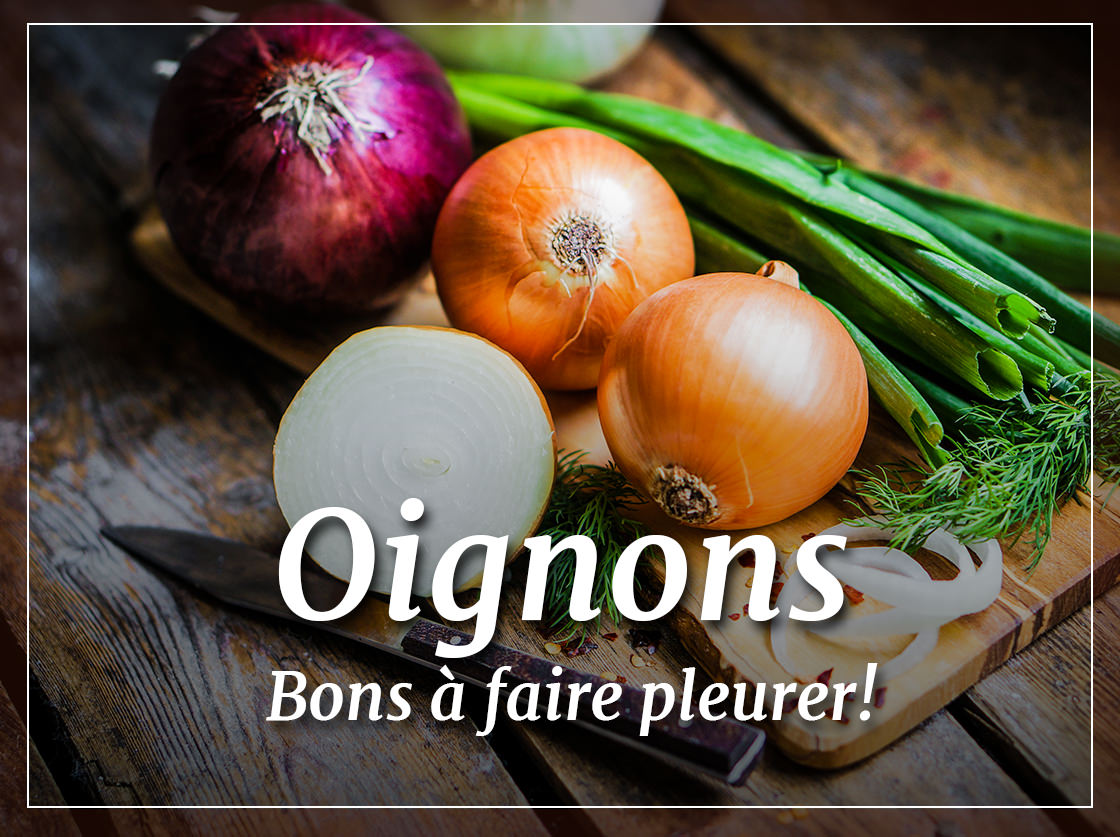 Oignons, bons à faire pleurer!