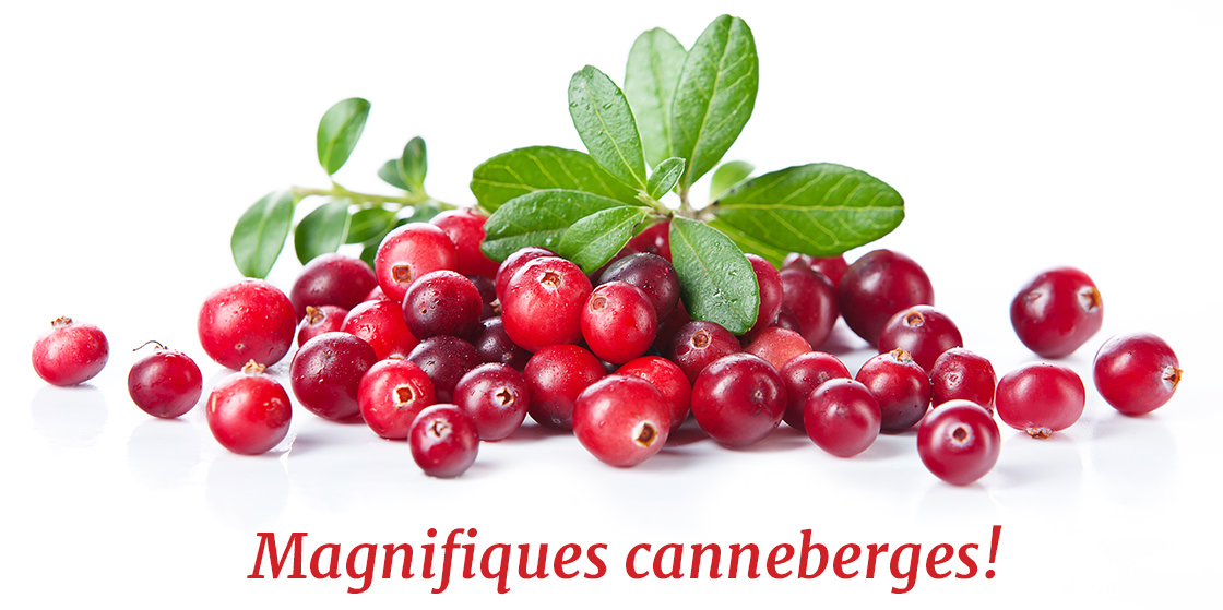 Magnifiques canneberges.