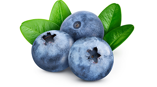 Bleuets frais pour des recettes sans gluten