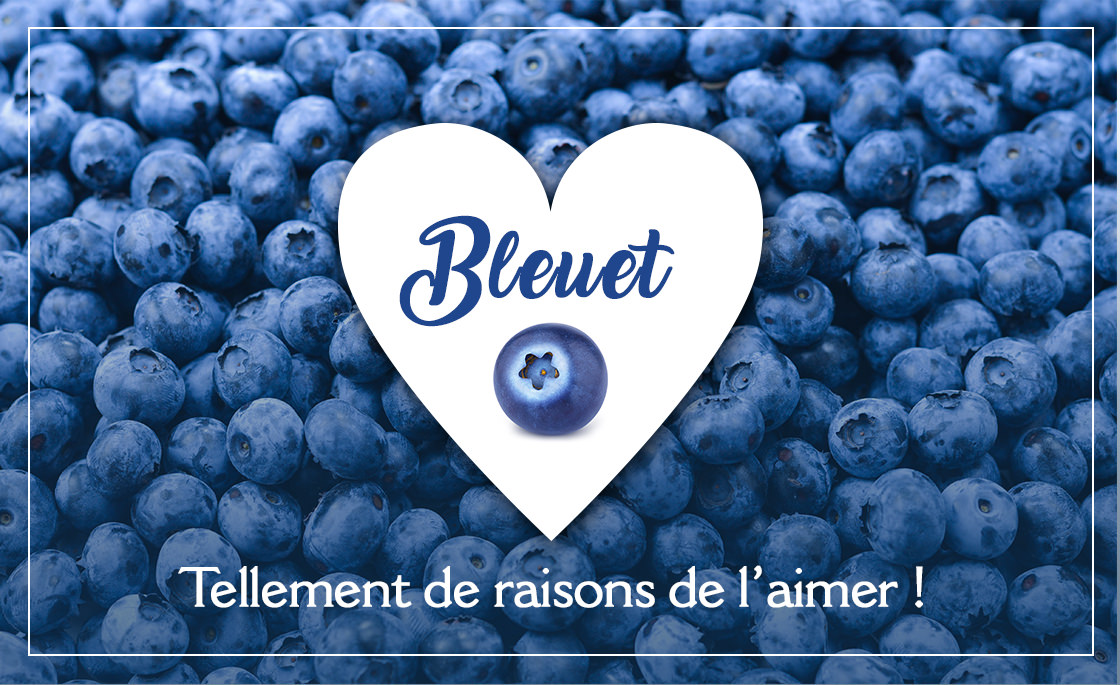 Bleuet, tellement de raison de l’aimer!