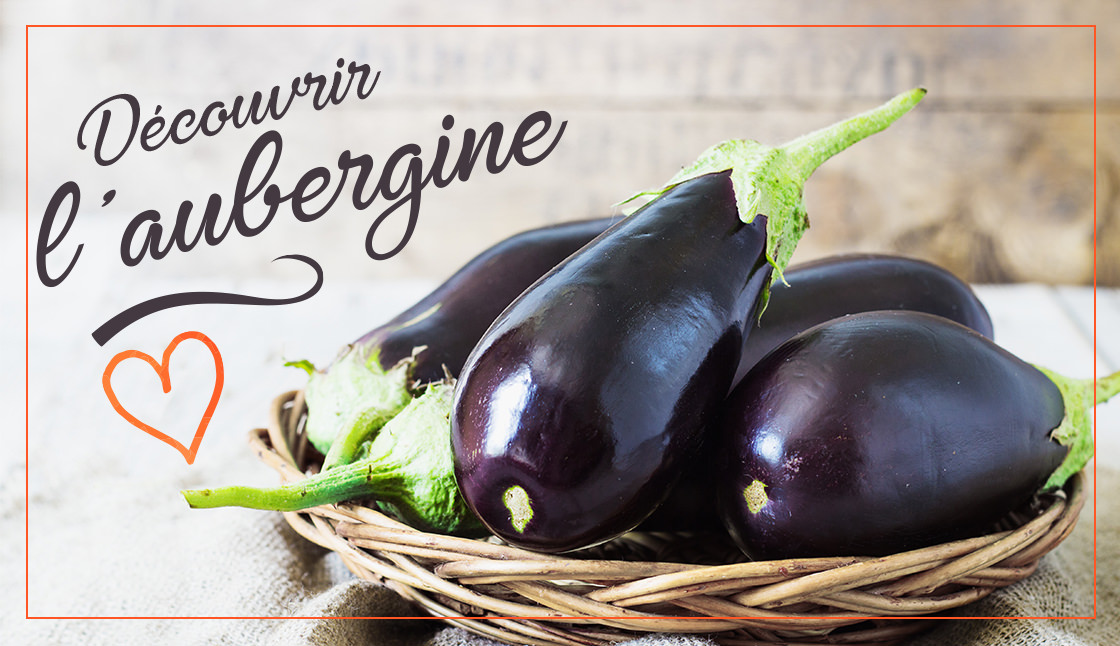 Découvrir l'aubergine