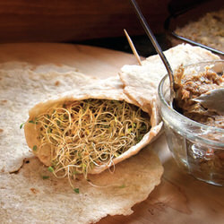 Tortillas 
sans gluten