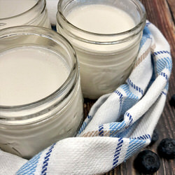 Yogourt végétal  - Recette sans gluten