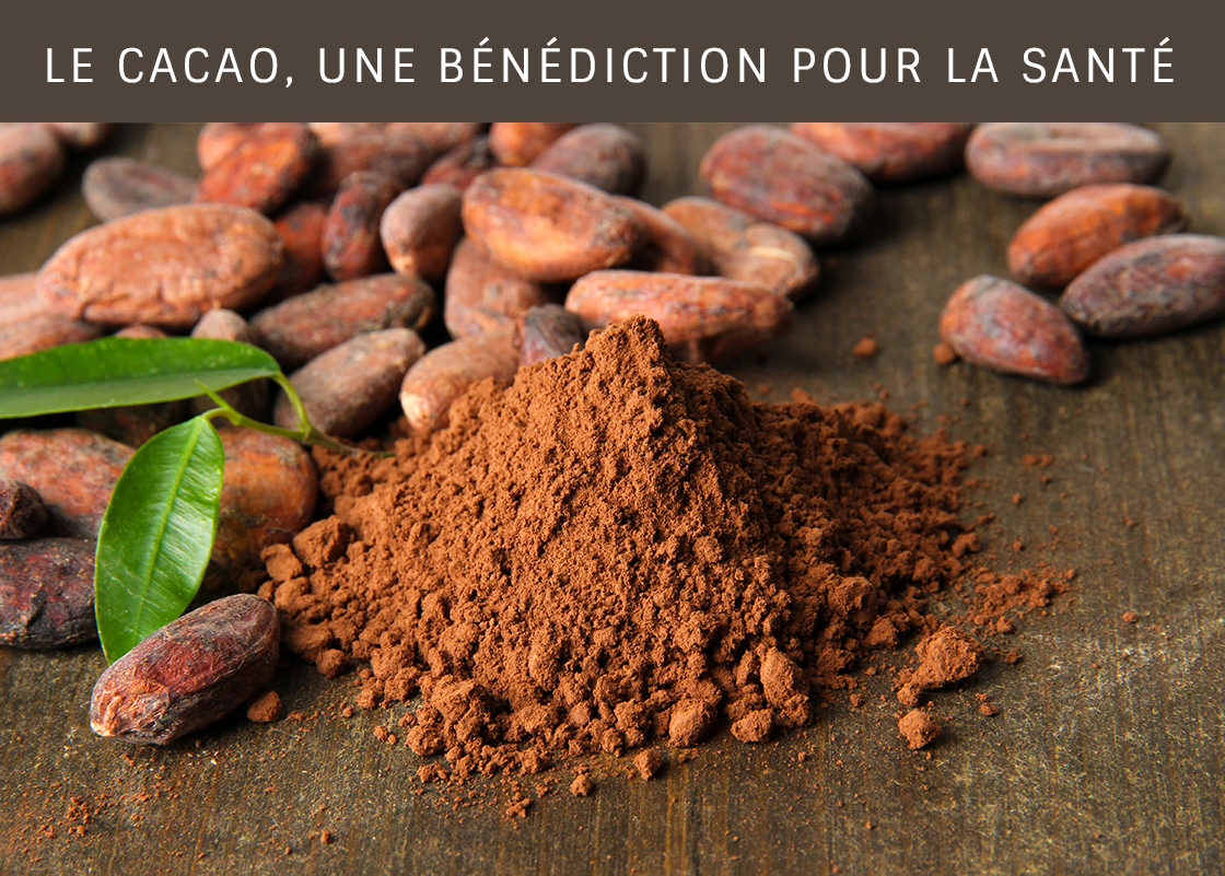 Le cacao, une bénédiction pour la santé