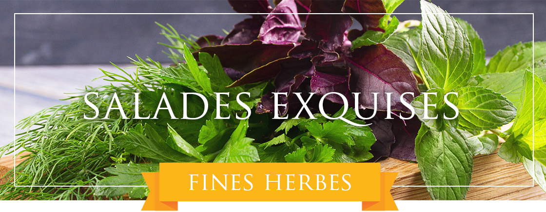 Salades exquises et fines herbes