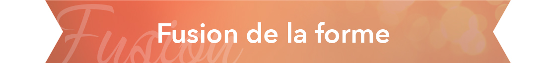 Fusion de la forme