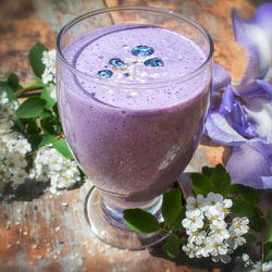 Smoothie aux petits fruits
