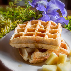 Recette sans gluten Gaufres sésame et lin