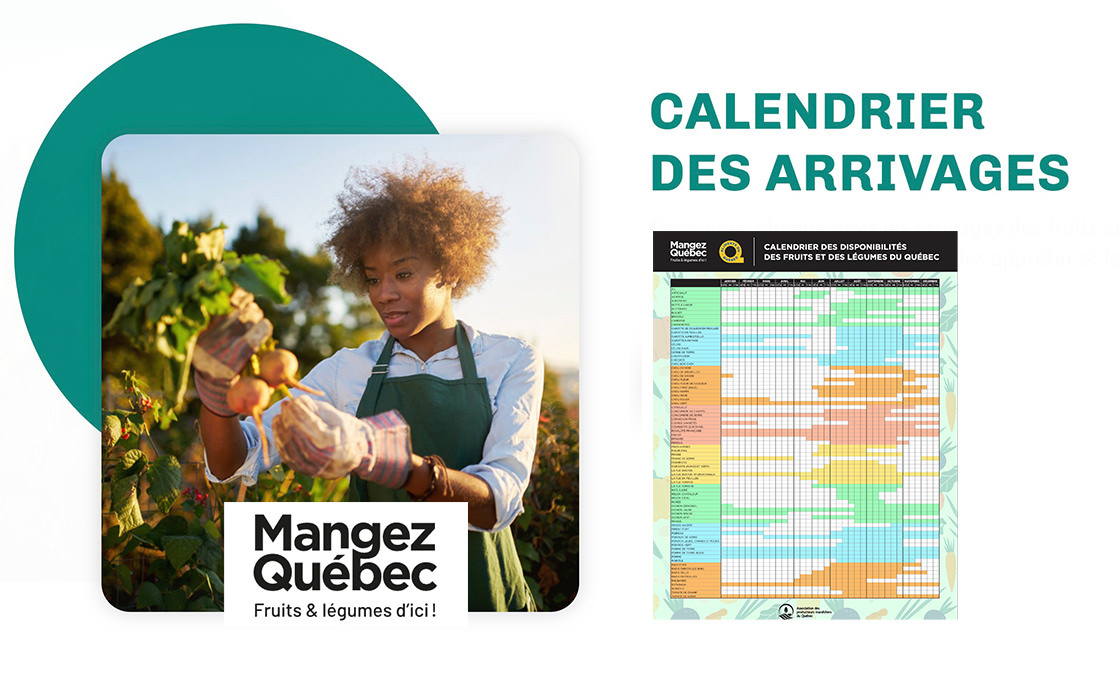 Calendrier des arrivages