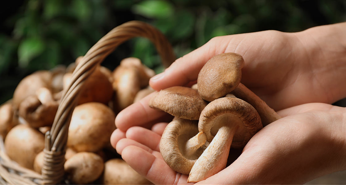 Délicieux et sans gluten