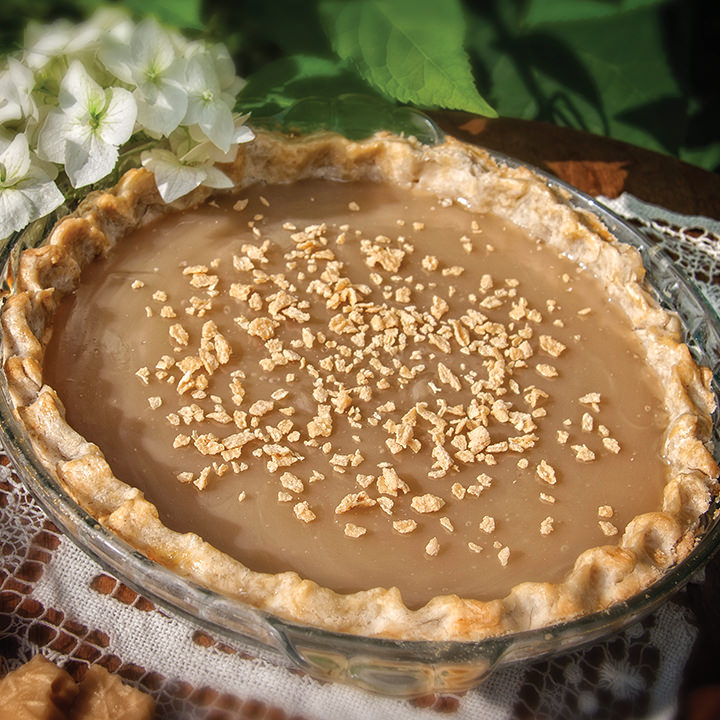 Croustilles à l'aubergine sans gluten, sans caséine et bio - Pain  Boulangerie Biologique l'Angélique