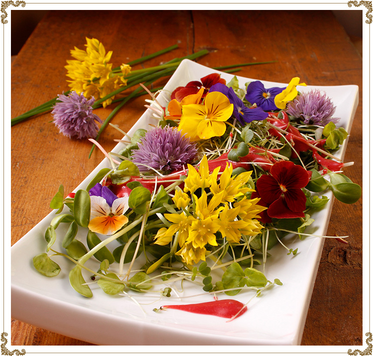 Recette de Salade de pousses et de fleurs et sa vinaigrette crémeuse à la framboise sans gluten et sans produits laitiers de Cuisine l'Angélique.