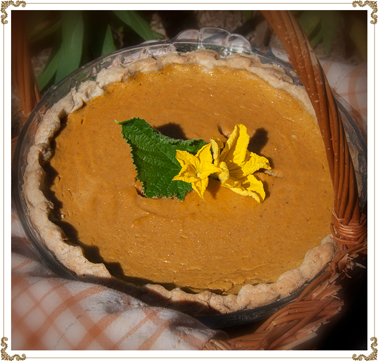 Recipe photo Pumpkin Pie Gluten-free, dairy-free (casein-free) and hypotoxic
By: Cuisine l'Angélique